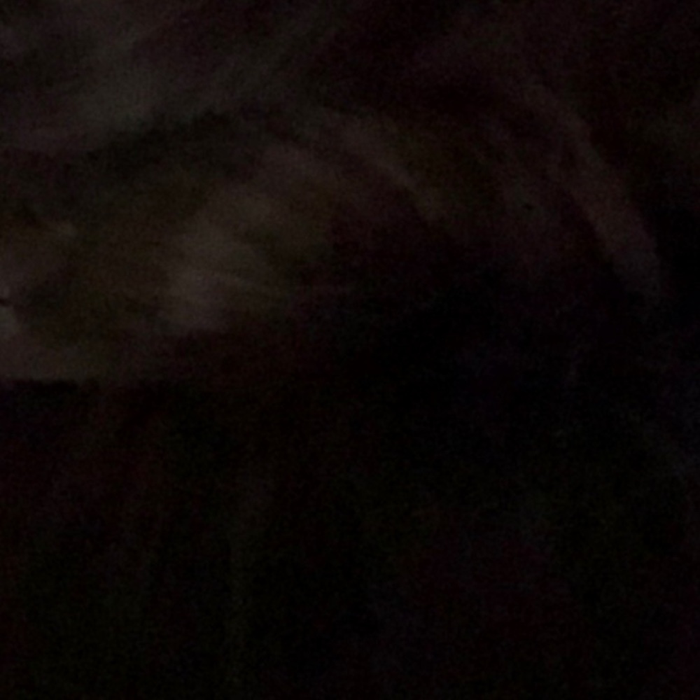 Meet your Posher, Finley